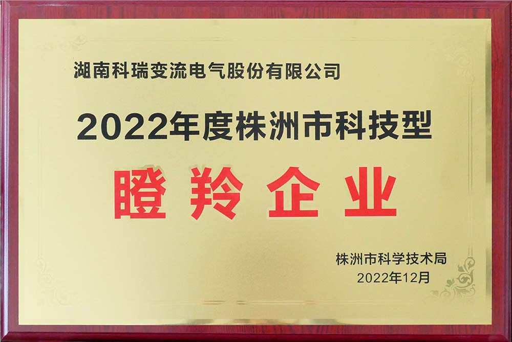 株洲市科技型瞪羚企業(yè)